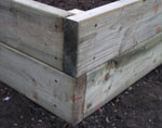 raised wooden vegetable bed