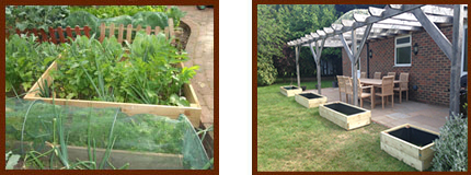 raised wooden vegetable bed (standard and deluxe)