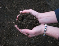 organic compost peat-free