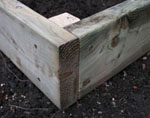 raised wooden vegetable bed